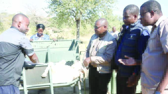 Research, Science transform Lupane goat breeders fortunes